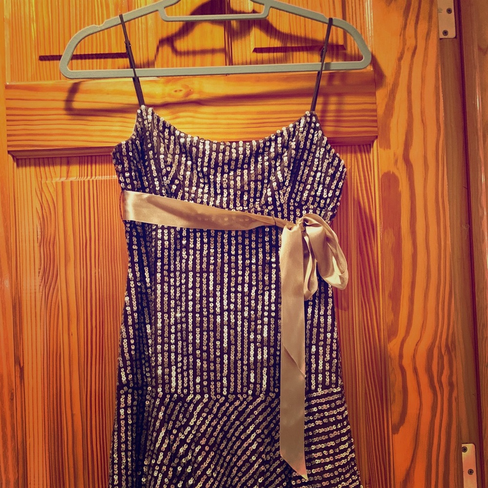 Beautiful sequined BCBG dress with satin belt